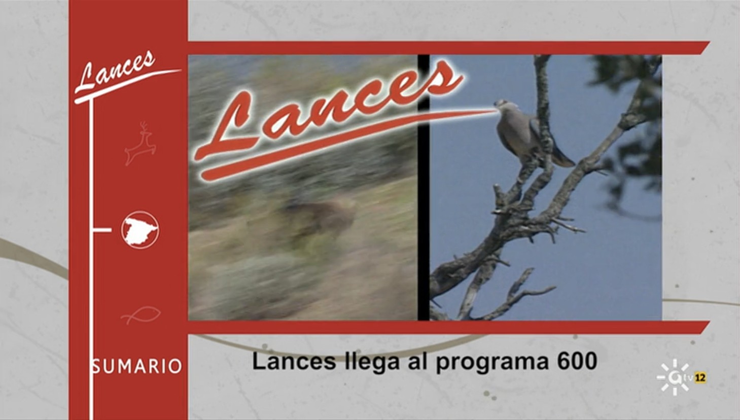 lances canal sur